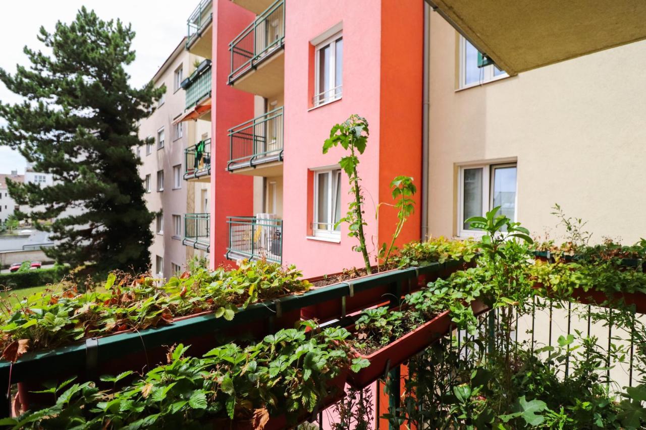 Cozynite Premium Apartment Schoenbrunn 2 Bécs Kültér fotó
